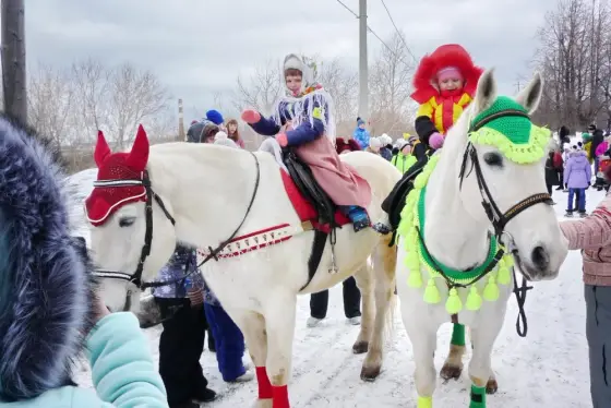 «Гуляй, народ, масленица идёт!» на Костином дворе в гостях у мини-лошадок